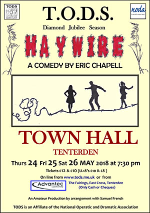 Poster for Haywire